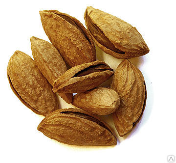 Porno oyin Titanlar toqnashuvi Qiz dostining strapon video