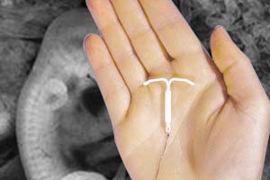 SMS holda bepul mobil porno