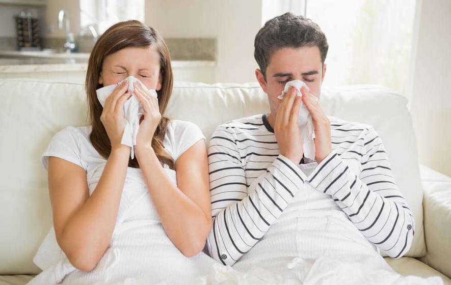 Gripp asoratlari