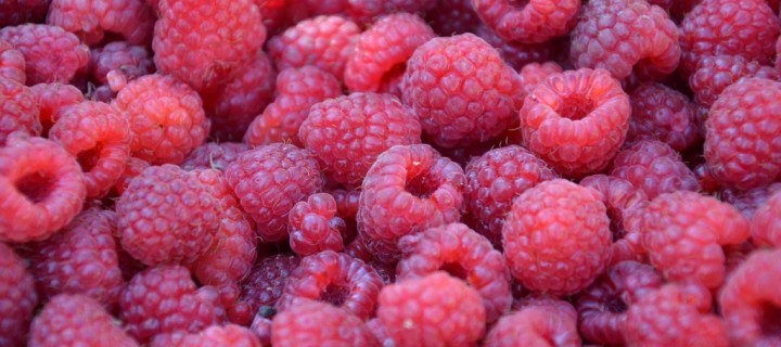 Jinsiy malina Jinsiy malina