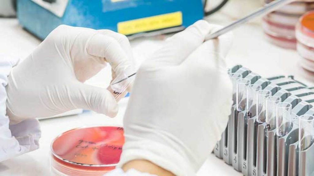 Aka va opa jinsiy aloqa tube