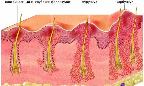 Mushuk ichida baliq bilan yapon porno Hammomdagi onalarning porno fotosuratlari